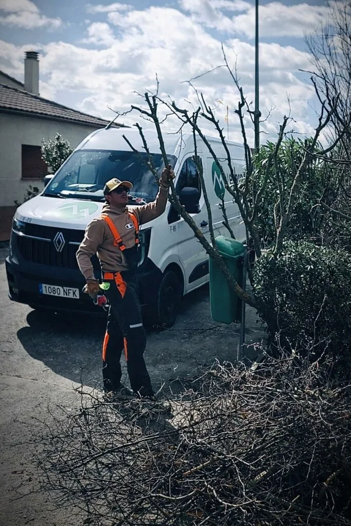 Trabajo en huerto solar